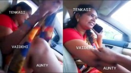 Tamil Bhabhi Pussy Fingered in Car